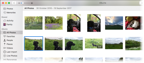 Screenshot of Photos on the Mac