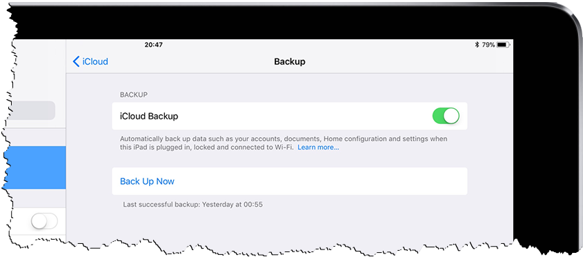 Screenshot of iPad backup