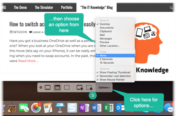 Mac OS screenshot option menu