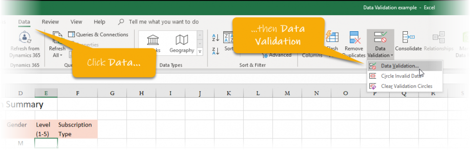 Selecting Data - Data Validation command