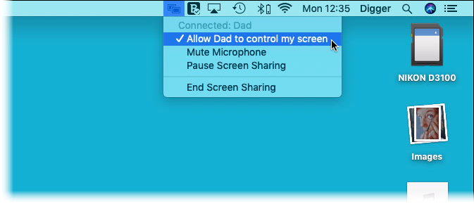 Control menu on a screen share